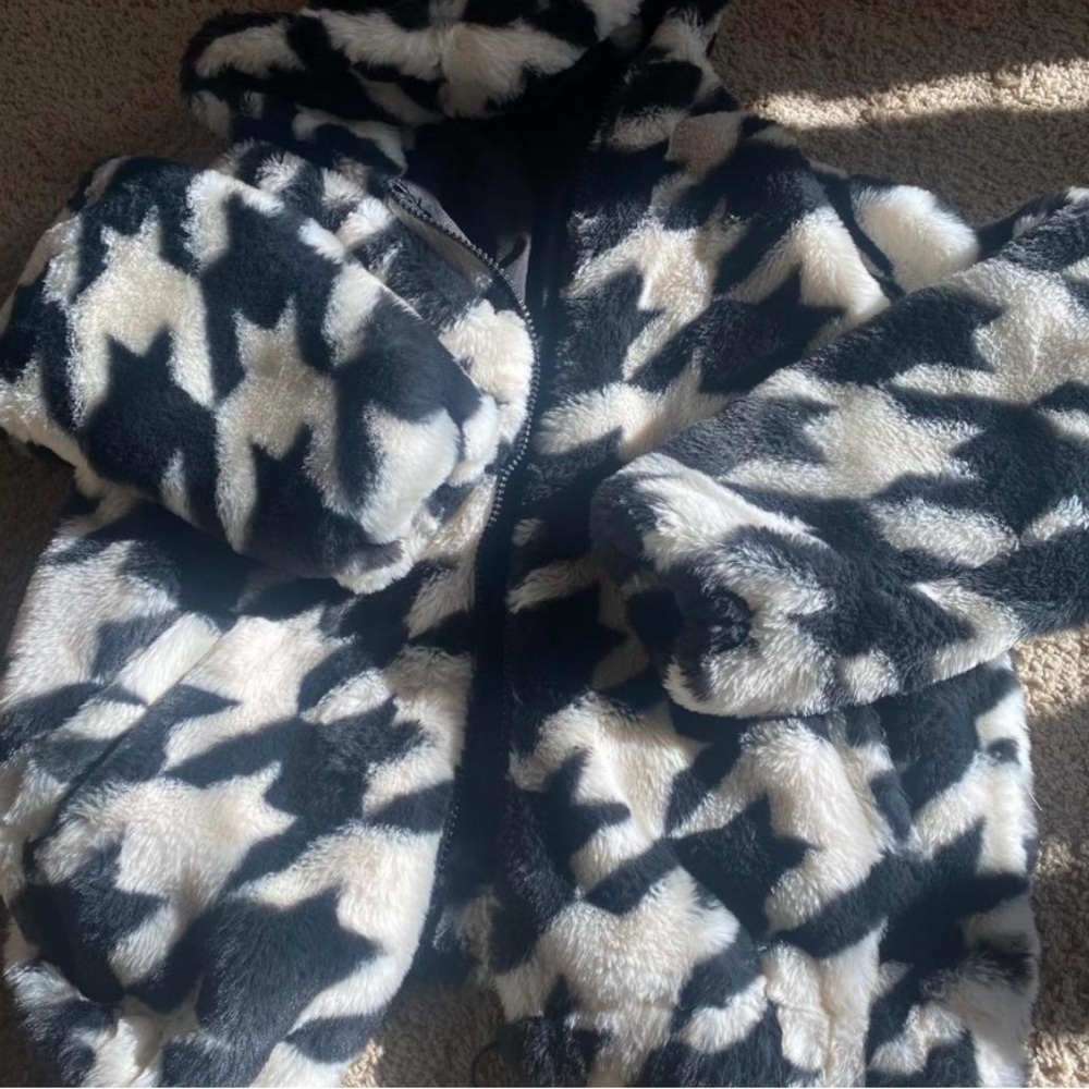 Checkered Puffer